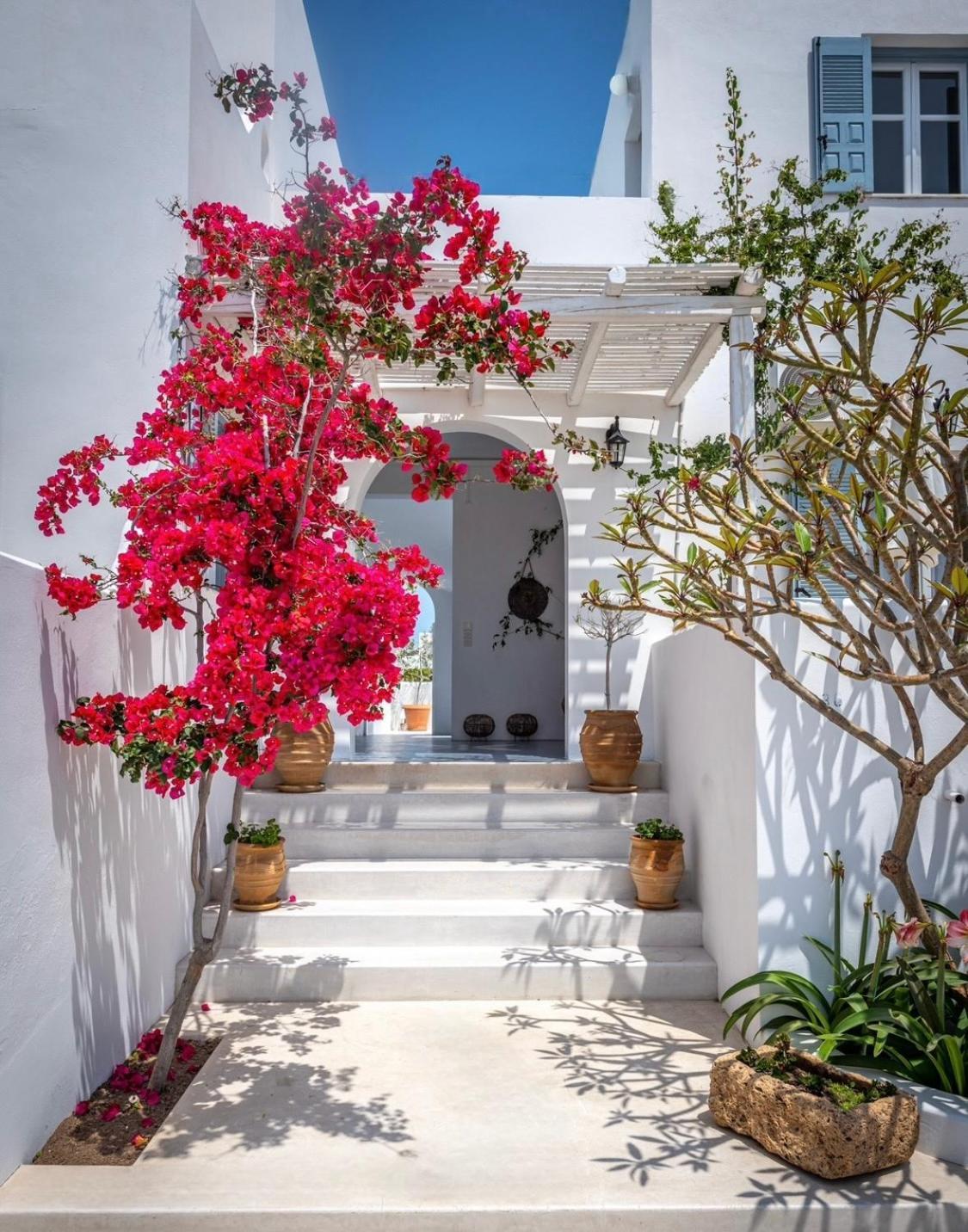 Anita Rooms & Suites Milos Adamantas  Екстериор снимка