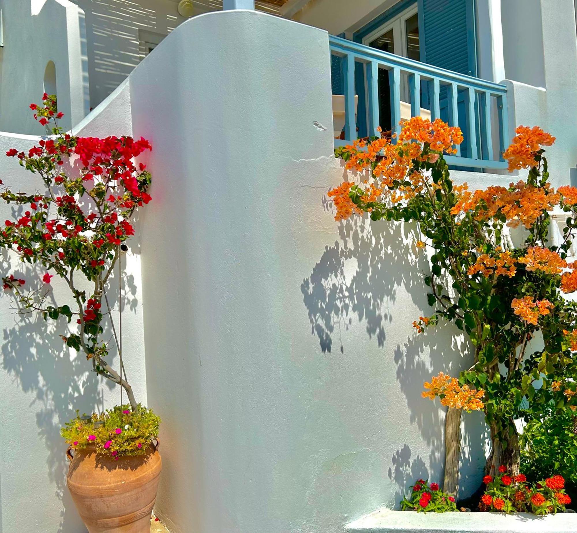 Anita Rooms & Suites Milos Adamantas  Екстериор снимка